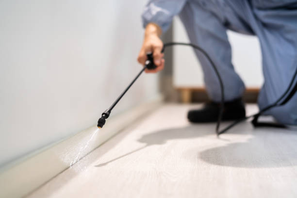 Licensed Cockroach Control service in Forest View, IL - Nex Pest Control