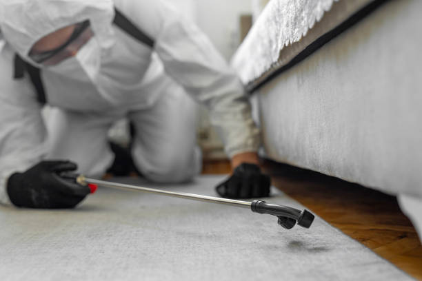 Professional Cockroach Control technician working in Forest View, IL
