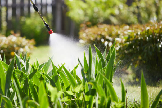 24/7 Emergency Cockroach Control experts in Forest View, IL